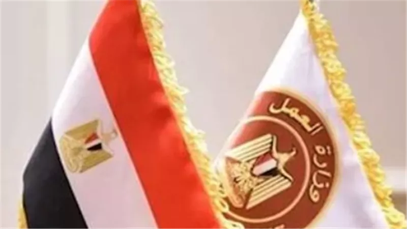 بمرتبات مجزية وإقامة للمغتربين.. وزارة العمل تكشف عن وظائف خالية في 5 مناطق