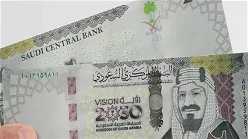 الريال السعودي في مصرف أبوظبي الإسلامي يسجل 14.26 جنيه للشراء اليوم