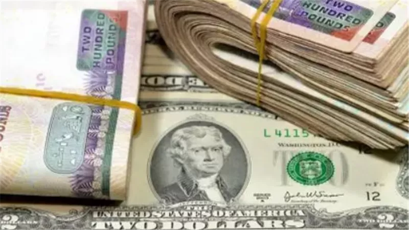 أسباب استقرار سعر الدولار في مصر 2026 وتأثيره على أسعار السلع والخدمات