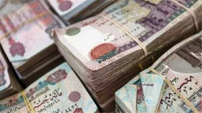 هل يتم صرف مرتبات مايو 2026 عبر المحافظ الإلكترونية؟