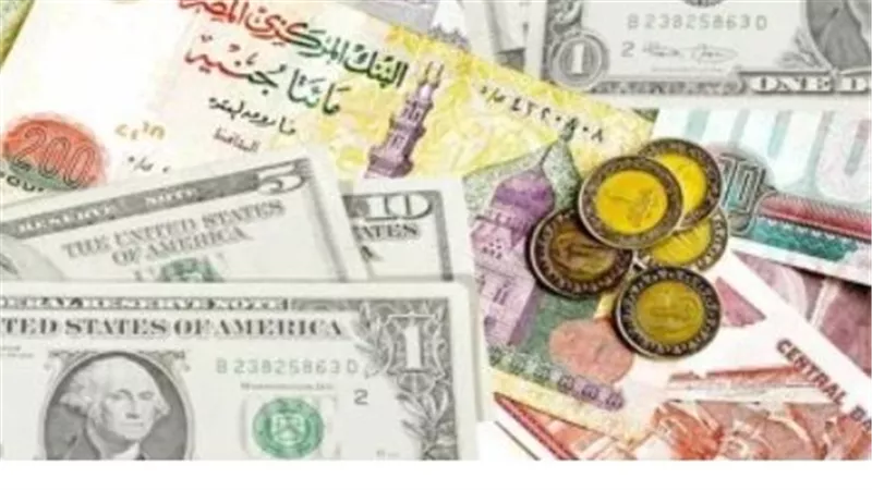 دليل أسعار الصرف بمصر.. استقرار الدولار يضيق الفجوة بين العرض والطلب وينعش الأسواق