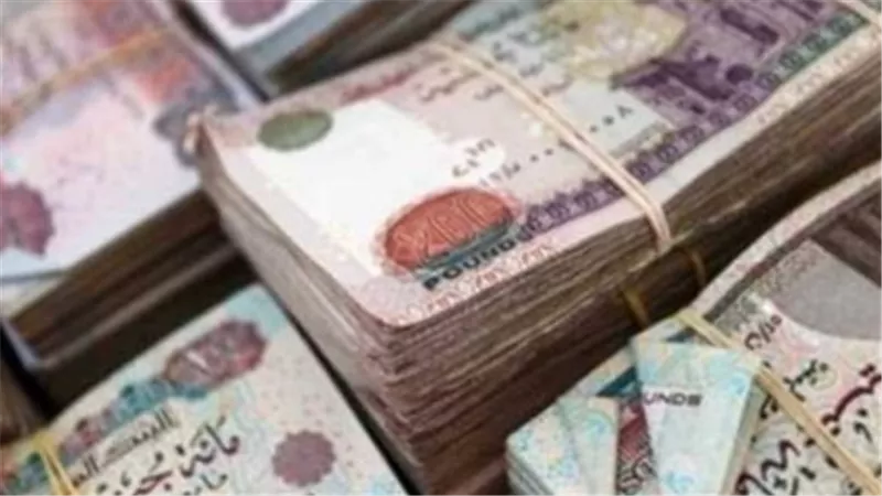 الرابط الرسمي والخطوات: كيفية الاستعلام عن قيمة معاشات شهر يونيو قبل إجازة عيد الأضحى