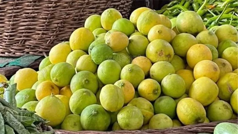 التقرير اليومي لحركة الأسواق: أسعار الليمون البلدي والجزر والكوسة وسعر التفاح الأمريكي