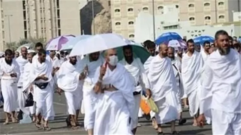 المتحدث الرسمي لوزارة الصحة: الحالة الصحية للحجاج المصريين مستقرة تمامًا وخالية من الأوبئة