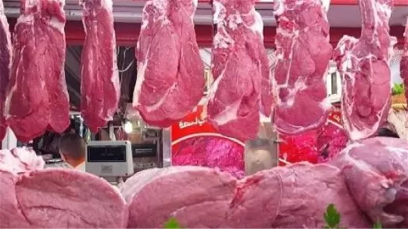 أسعار اللحوم في منافذ وطنية ووزارة الزراعة تقدم بدائل اقتصادية للمواطنين قبل حلول عيد الاضحى