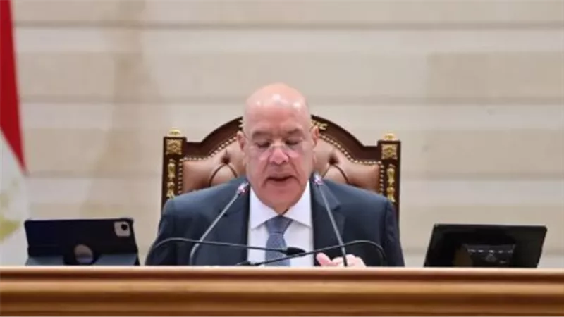 تفاصيل الجلسة العامة لمجلس النواب المصري المخصصة لدعم الاستقرار الشامل في الدولة الليبية الشقيقة
