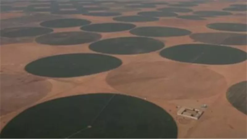 مشروع الدلتا الجديدة.. قاطرة التنمية الزراعية المستدامة وأكبر مشروع قومي لتأمين الأمن الغذائي بمصر