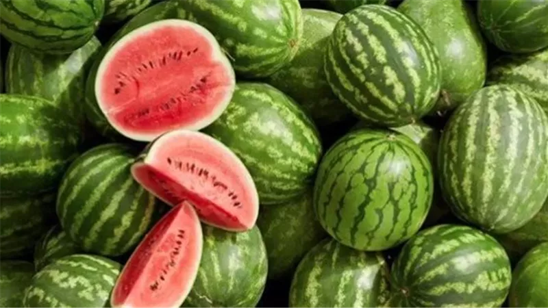مضادات الأكسدة في البطيخ الأحمر: محارب طبيعي للشيخوخة ومنشط فعال للذاكرة والإدراك