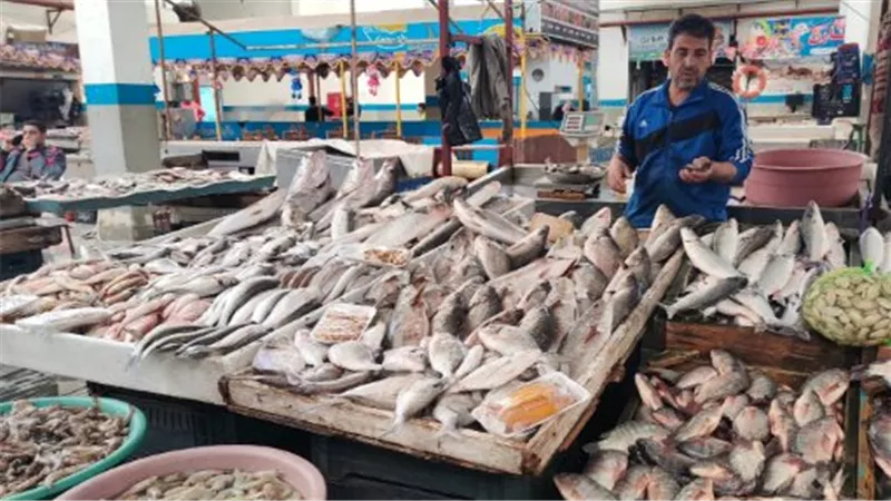 بورصة الأسماك والجمبري بمصر: تفاصيل النطاق السعري لجميع الأصناف البحرية والنهرية اليوم