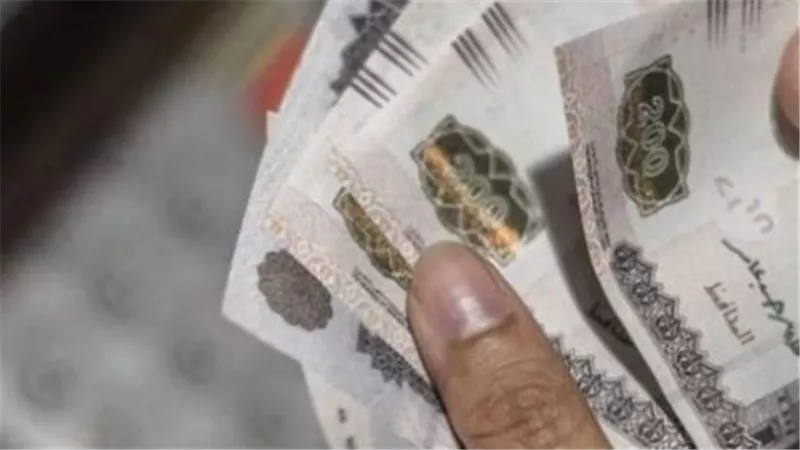 لفتة إنسانية من القيادة السياسية لتخفيف الأعباء عن الأسر المصرية قبل عيد الأضحى
