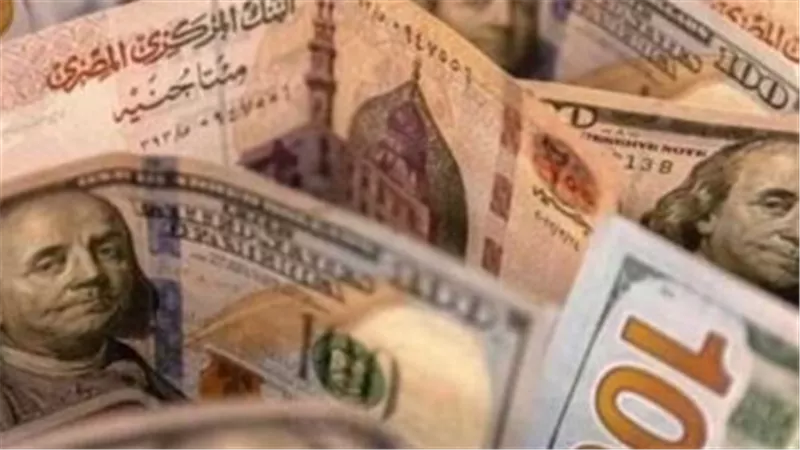شاشات الصرف تتزين بالأسعار الجديدة.. تطورات سعر الدولار في البنوك المصرية