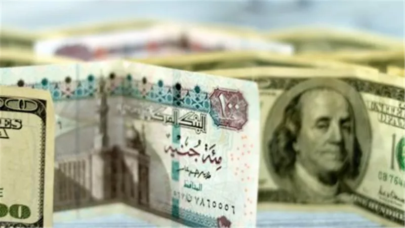 أسعار الدولار اليوم في البنوك المصرية.. تحديثات أسعار الصرف الرسمية بالقرش أمام الجنيه
