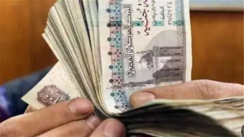تنفيذًا للتوجيهات الرئاسية.. تفاصيل دمج منحتين وصرف 767 مليون جنيه للعمالة غير المنتظمة
