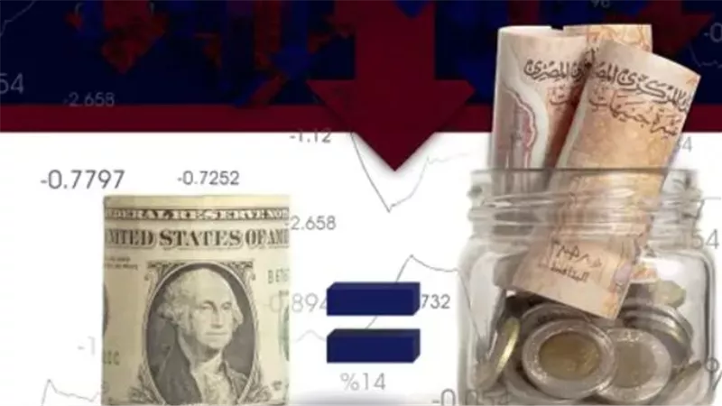 البنك المركزي والبنوك الحكومية تعلن أسعار الصرف الرسمية للدولار الأمريكي بالتزامن مع نمو السياحة