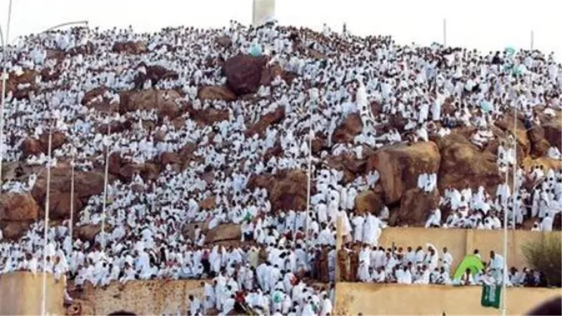 رئيس الجهاز التنفيذي للحج: حافلات ذكية وتقنيات حديثة لضمان أمن وراحة ضيوف الرحمن