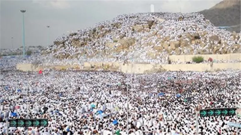 الرعاية الفورية والوجبات المتكاملة: خدمات الـ 5 نجوم لضيوف الرحمن في عرفات