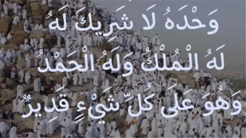 فضل يوم عرفة 2026: دليل شامل لصيام هذا اليوم العظيم وأفضل الأعمال المستحبة