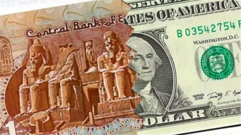 تفاصيل أسعار الدولار في البنك المركزي والبنوك الحكومية