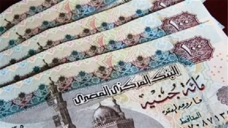 دور بنك ناصر الاجتماعي في دعم أصحاب المعاشات وتطبيق القرارات الجديدة