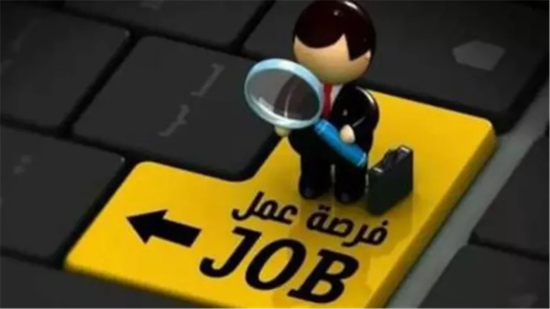 كيف تتقدم لوظائف شركة 