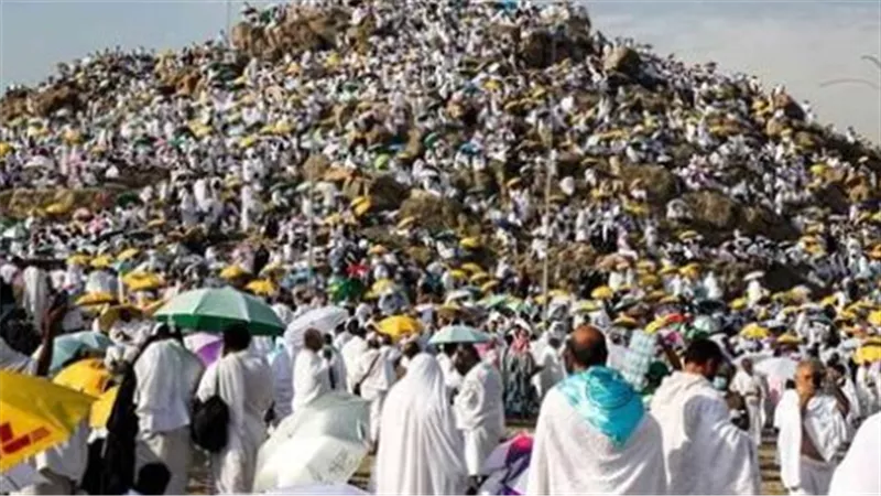 واحات باردة في قلب عرفات: رعاية فائقة لحجاج القرعة المصرية