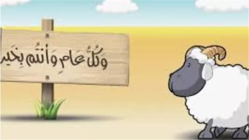 استعدادات مكثفة بمحافظة القاهرة: خطة طوارئ لاستقبال عيد الأضحى المبارك 2026