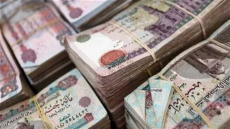 بشرى للموظفين: زيادة لا تقل عن 1100 جنيه في المرتبات بدءًا من يوليو المقبل