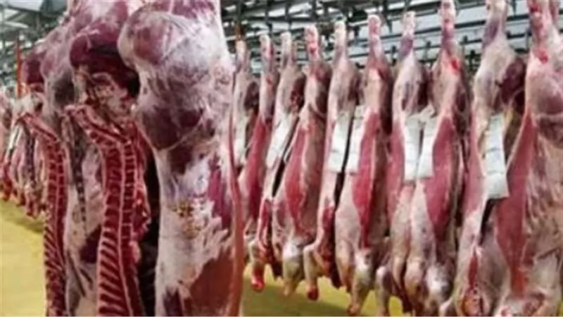 مجازر القاهرة تفتح أبوابها بالمجان: خدمات ذبح وإشراف بيطري متكامل للمواطنين في عيد الأضحى