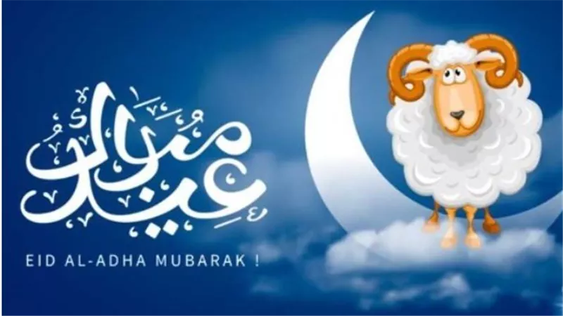أجواء مثالية للتنزه: حالة الطقس في مصر خلال إجازة عيد الأضحى المبارك