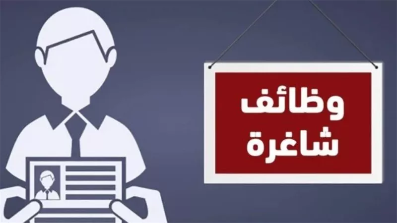 برواتب تصل إلى 25 ألف جنيه.. شروط وطريقة التقديم على وظائف وزارة العمل