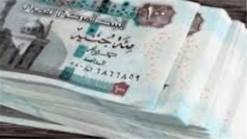 خطوات الاستعلام عن زيادة المعاشات الجديدة بالرقم القومي عبر موقع هيئة التأمينات