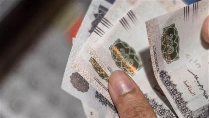 انطلاق صرف منحة العمالة غير المنتظمة 2026 بقيمة 3000 جنيه لكل عامل