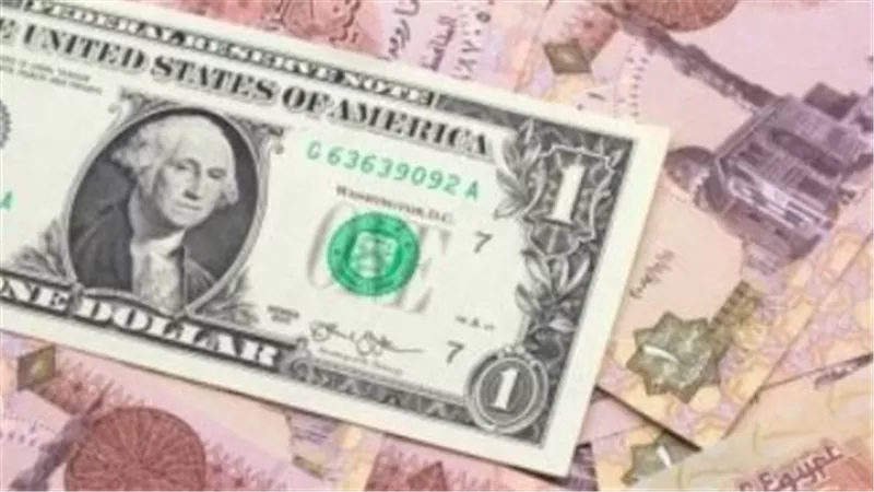 ما هي أسباب استقرار سعر الدولار؟ نظرة على تحركات العملة في السوق المصري