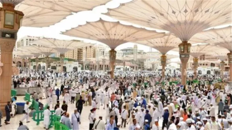 ملحمة تنظيمية: تفاصيل رحلة حجاج القرعة من مكة إلى المدينة المنورة بسلامة الله