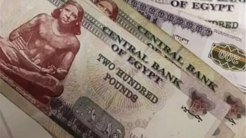 دليل البطاقات التموينية 2026: كيف تحصل على 800 جنيه إجمالي المنحة المتأخرة؟