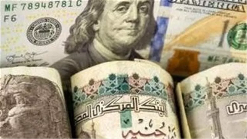 تحديثات أسعار العملات: الدولار يحافظ على مستوياته أمام الجنيه في البنوك المصرية