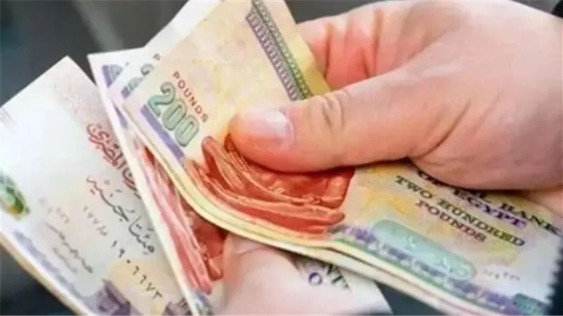 كيف تستعلم عن قيمة معاشك بعد زيادة يوليو 2026؟ دليل إرشادي شامل