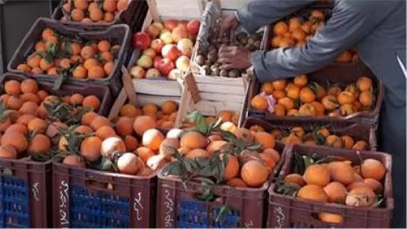 دليلك اليومي لميزانية البيت: أسعار الخضروات والفاكهة في أسواق محافظة القاهرة