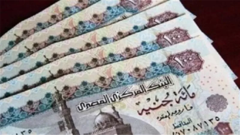 دليلك الشامل للاستعلام عن معاشات يوليو 2026 بالرقم القومي