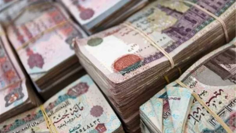 تفاصيل الزيادة الجديدة في معاشات يوليو 2026 وفقًا لقانون التأمينات