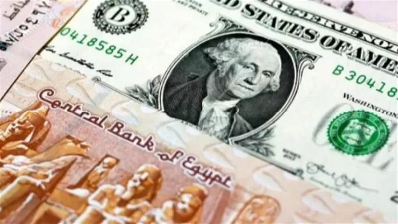 البنك المركزي يحدد اتجاهات السوق: سعر الدولار اليوم في البنوك المصرية