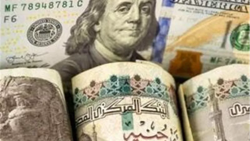 أسعار الدولار اليوم في البنوك المصرية: ثبات نسبي في مستهل التعاملات