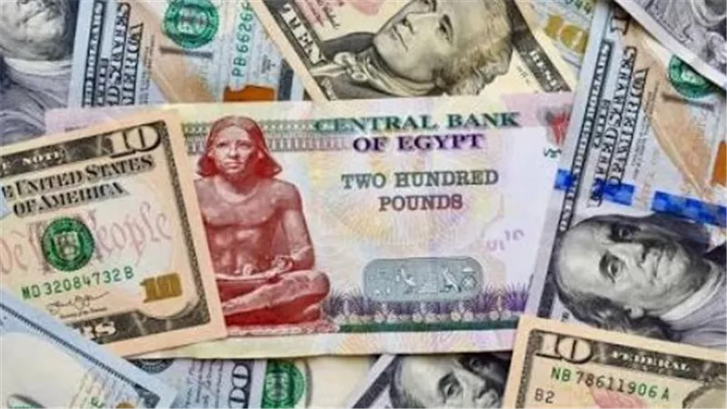 نظرة على سعر الدولار مقابل الجنيه في مصر اليوم 14 يونيو 2026
