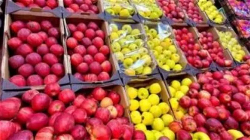 مؤشرات أسعار الفاكهة: ارتفاع ملحوظ في بعض الأصناف اليوم 14 يونيو