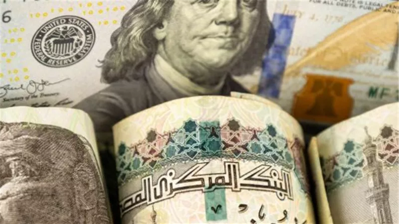 سعر الدولار اليوم.. استقرار ملحوظ في تعاملات البنوك الرئيسية في مصر