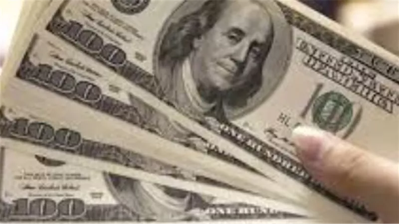 تحديثات أسعار صرف الدولار في البنوك المصرية: استقرار ملحوظ في بداية التعاملات