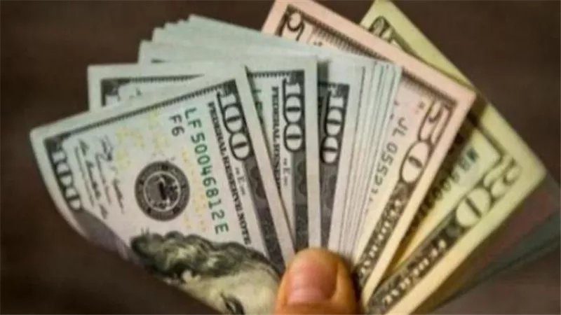 مؤشرات أسعار الصرف في البنوك المصرية: الدولار يحافظ على توازنه اليوم