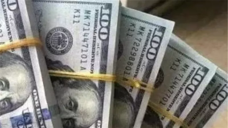 سعر الدولار مقابل الجنيه المصري اليوم: استقرار في البنك المركزي وجميع البنوك
