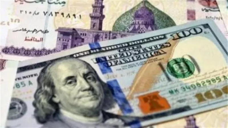 تحديثات أسعار العملات: الدولار يواصل الثبات أمام الجنيه في البنوك المصرية