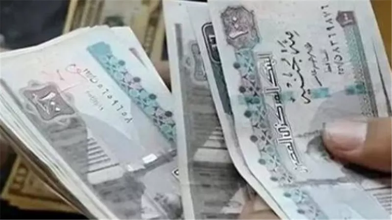 ترقب زيادة المعاشات في يوليو 2026: الهيئة القومية توضح الموقف